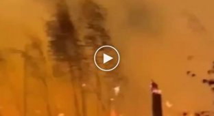 В Рязанской области не утихают пожары, несмотря на заявления властей об их локализации