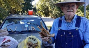 Эти фото пенсионера, продающего дрова, помогли ему собрать $80 тыс. всего за неделю (3 фото)