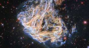 Телескоп Hubble зробив знімок «ниток» загиблої зірки