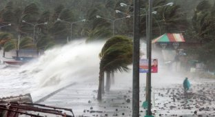 Тайфун Хаян унес жизни более 10 тысяч человек (19 фото)