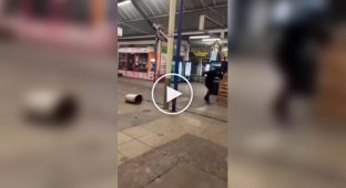 An unusual incident occurred in Vienna: a group of African migrants decided to rob a vending machine for drinks