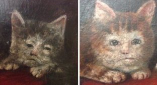 23 монструозных портрета средневековых котов (24 фото)