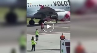 В итальянском аэропорту Бергамо мужчина бросился в работающий двигатель самолета