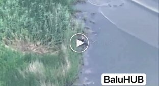An occupier sitting on the bank of a reservoir disappeared after an attack by a Ukrainian drone