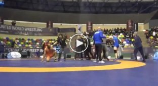 В Стамбуле грузинский и украинский борцы устроили драку