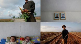Голод в Северной Корее (40 фото)