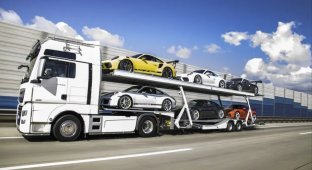 A collection of Porsche 911 GT3 supercars is being sold along with a car transporter (7 photos + 1 video)