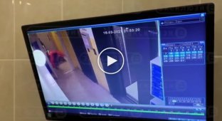 Нападение питбуля на школьника в подъезде дома в Новосибирске
