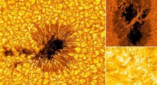 Published new photos of the Sun with incredible detail (9 photos)