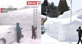 More than 5 meters of snow fell on Honshu Island (2 photos + 2 videos)
