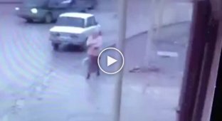 Обычное ДТП в Чечне. Конь запрыгнул на капот автомобиля и сбежал