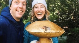 A selection of happy mushroom pickers with their impressive catch (19 photos)