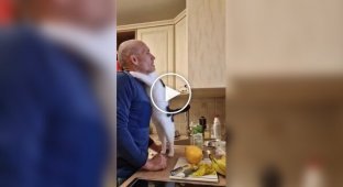 Cat loves when her owner hugs her