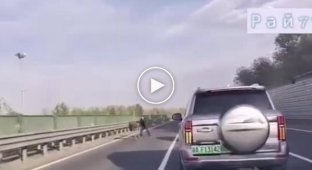 Сбежавший страус не дался в руки владельца на китайской магистрали