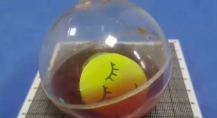 A man put a child's toy inside himself (3 photos)