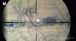Кадры работы снайперов ССО Украины на Запорожском направлении
