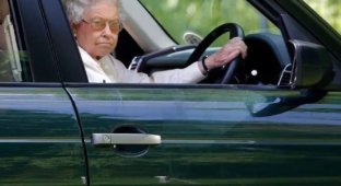 Good mood on the way to work (8 photos)