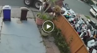 The owner of a garbage removal company punished a debtor