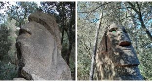 Stone Guardians of the Enchanted Forest of Orrius (11 photos)