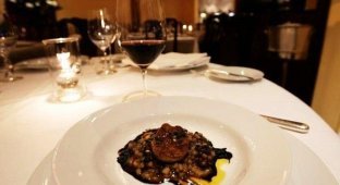 Любите покушать в ресторане 'Foie gras'? (25 фото)