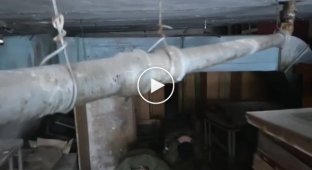 Подборка видео с пленными и убитыми в Украине. Выпуск 61