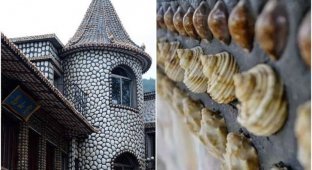 A Chinese man glued a house with shells for 2 years - and it turned out to be a local curiosity (11 photos)