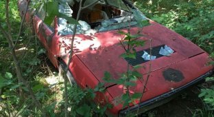 Печальное зрелище: Ferrari Dino 308 GT4, брошенный гнить в лесу (12 фото)