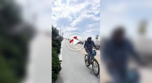 Пілот дивом посадив літак на пляжі в Сан-Дієго