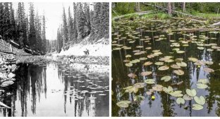 Lake Isa, Which Breaks All the Rules of Geography (8 photos)
