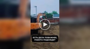 Пес катається в ковші екскаватора