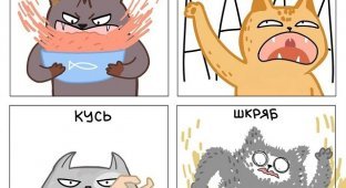 Подборка забавных комиксов про котов (19 фото)
