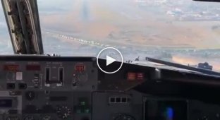 Boeing collided with a bird while landing. A video from the cockpit appeared on the web
