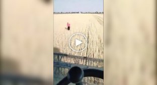 Украинский фермер собирает урожай в Днепропетровской области