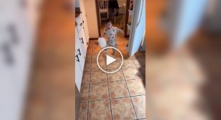 Маленький «молокоголік»