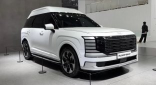 Hyundai Palisade получил версию с высокой крышей (14 фото)
