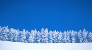  Красавица зима (40 фото)