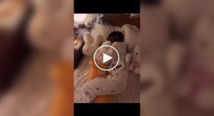 Незвичайна подушка для швидкого засинання