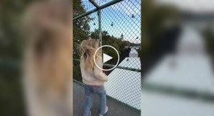 Девушка придумала весьма необычный способ развлечься на мосту