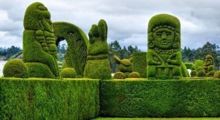 Кладбище-топиарий - самая необычная достопримечательность Эквадора (6 фото)
