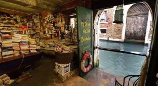 Самый необычный магазин в Венеции (12 фото)