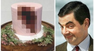 Торт с "каменной" вагиной рассмешил пользователей сети (3 фото)