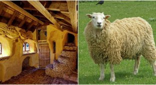 An English farmer spent 11 years building a castle for his sheep (13 photos)