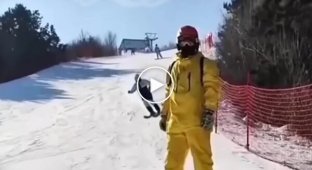 Двое лыжников сняли забавное видео на склоне