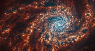 The James Webb Space Telescope showed photos of nearby spiral galaxies (5 photos)