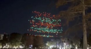 В США дроны упали на толпу во время рождественского представления (6 фото + 1 видео)