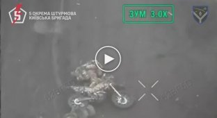 Soldiers of the 5th Separate Assault Brigade eliminated 18 motorcyclists, destroyed 3 armored vehicles and 2 Russian vehicles