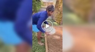 In India, the secret of creating silk, which is prized all over the world, was revealed