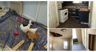 27 пекельних квартирантів, які перетворили пристойні будинки на смітник (27 фото)