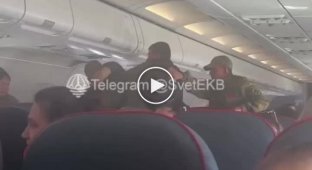 П'яні пасажири у військовій формі влаштували бешкет на борту російського літака