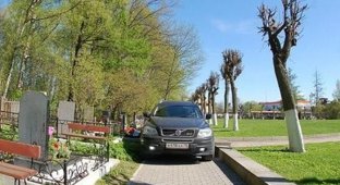 Случай на Серафимовском кладбище в Санкт-Петербурге (2 фото)